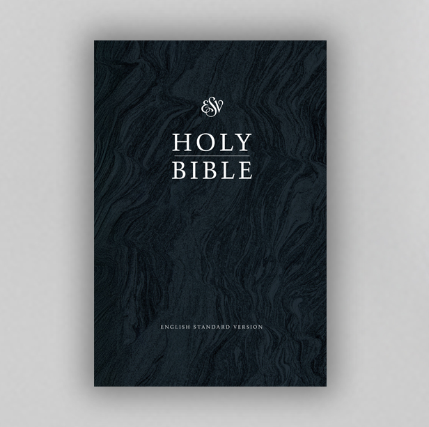 English Standard Version (ESV) Bible - Hardback